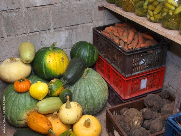 Obraz Vegetables in cellar