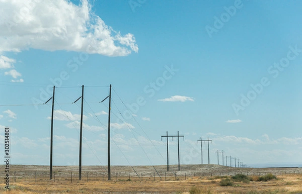 Fototapeta Vanishing electric poles in a desert land under a blue and cloudy sky