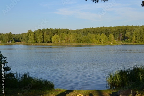 Obraz lake in the forest