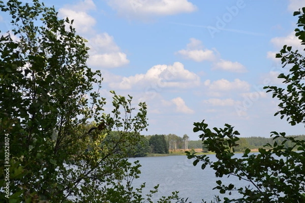 Obraz tree and blue sky