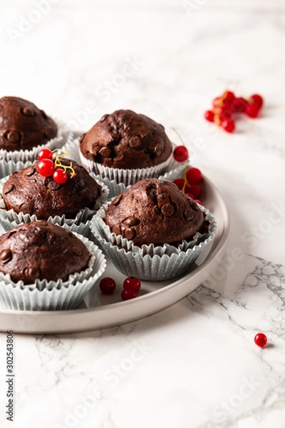 Fototapeta Chocolate muffins with zucchini. Muffins served with redcurrant.