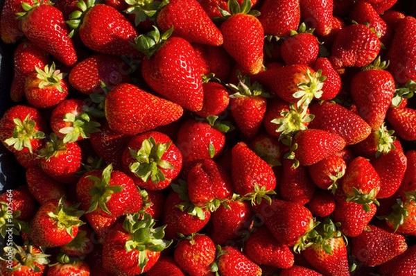 Obraz fresh strawberries