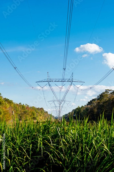 Obraz Electrical Transmission Towers