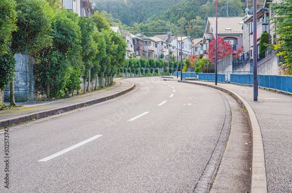 Fototapeta 住宅街の道路