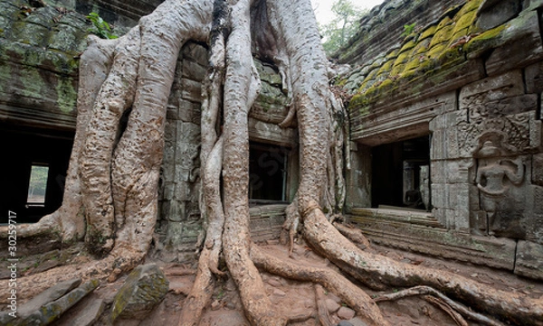 Fototapeta Temple of Ta Prohm in Angkor, Cambodia