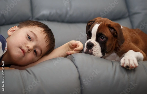 Obraz baby and puppy