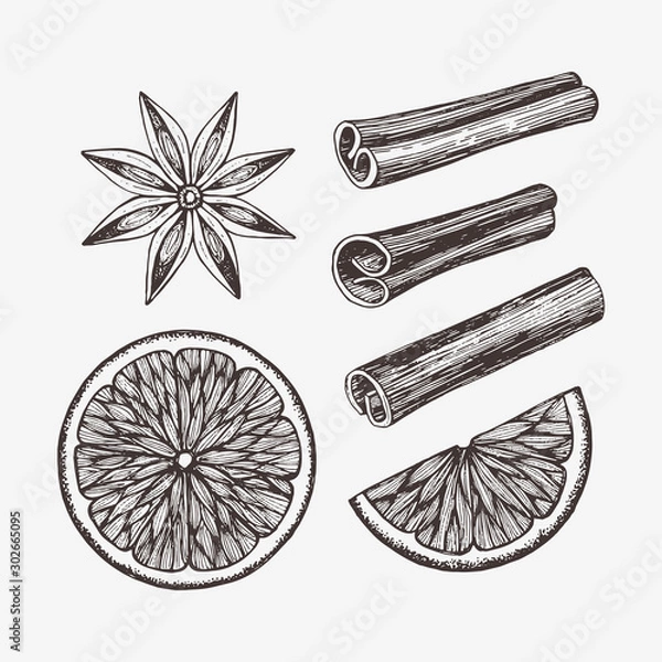 Obraz Hand drawn winter food illustration. Vector drawings of orange slices, anise and cinnamon