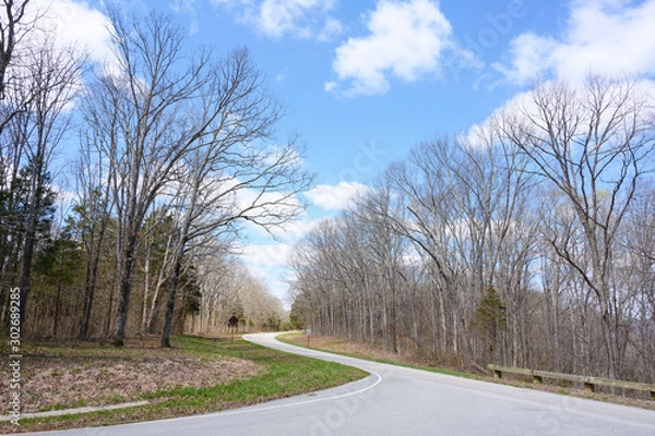 Fototapeta Beautiful day blue sky with curve road and trees in the side way, USA