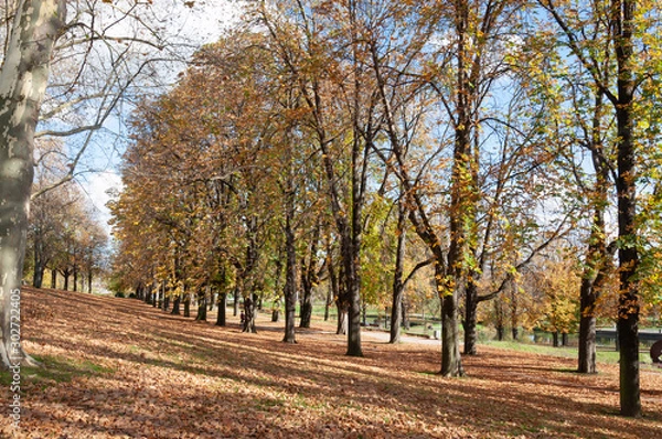 Obraz Parque con tonos de otoño