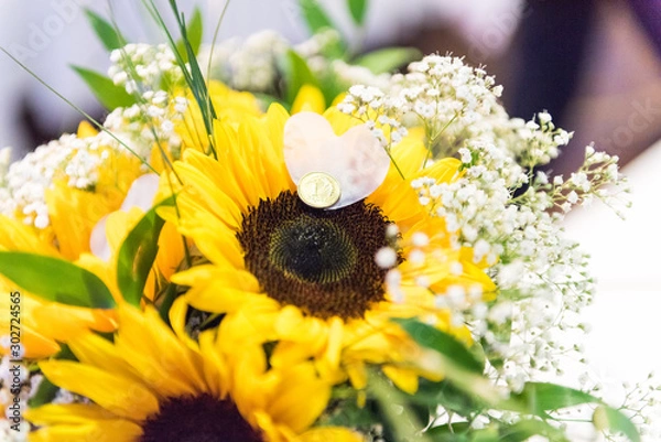 Obraz Słonecznik ozdobny