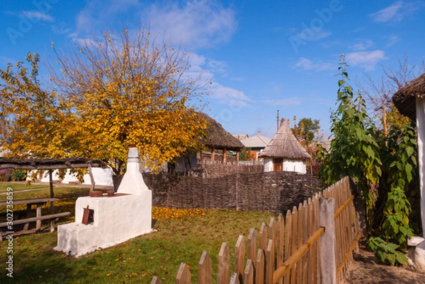 Obraz house in the Cossack village