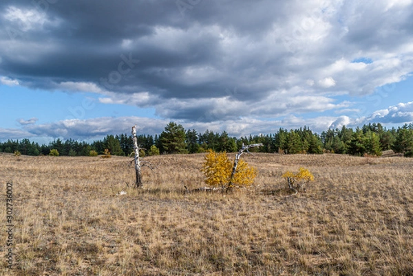 Obraz Sands in the Rostov region