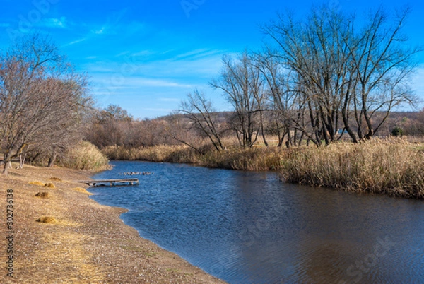 Obraz landscape with river and trees