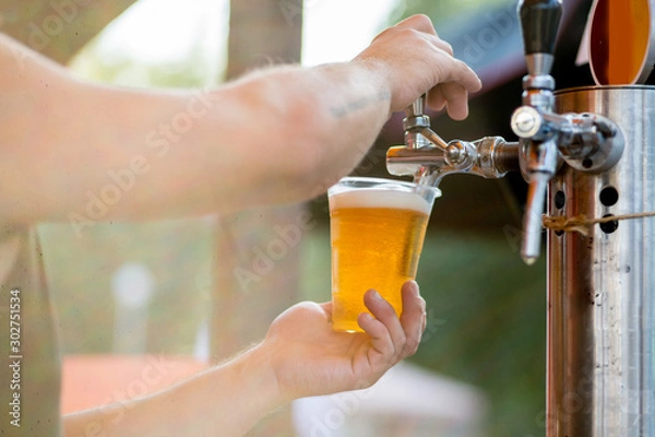 Fototapeta beer is poured into a glass from a tap. The bartender pours beer into a plastic glass