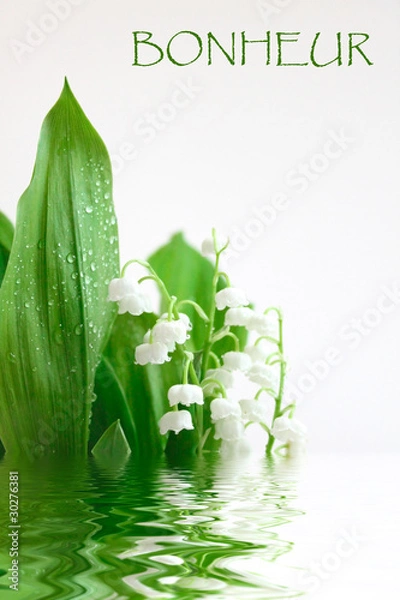 Obraz Muguet