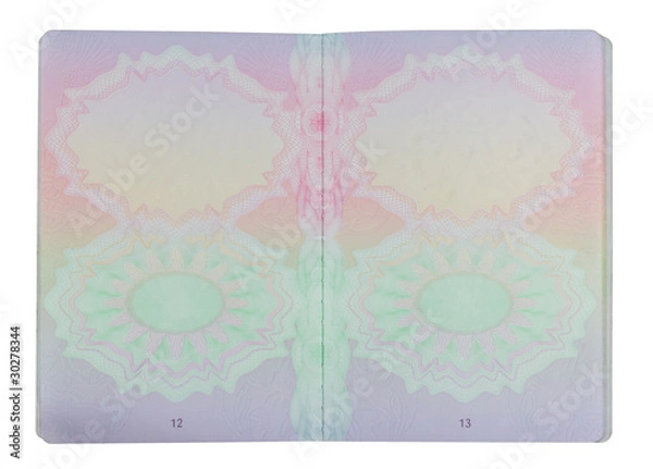 Obraz passport pages