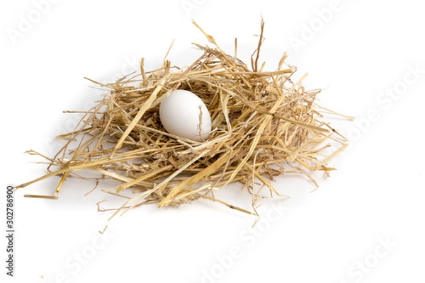 Fototapeta an egg lying in straw in a hen house on a farm isolated on white
