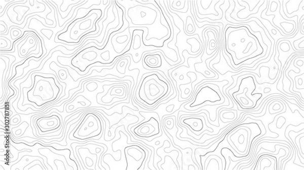 Obraz Topographic map background. Geographic World Topography map grid abstract vector illustration. Topo map with elevation.