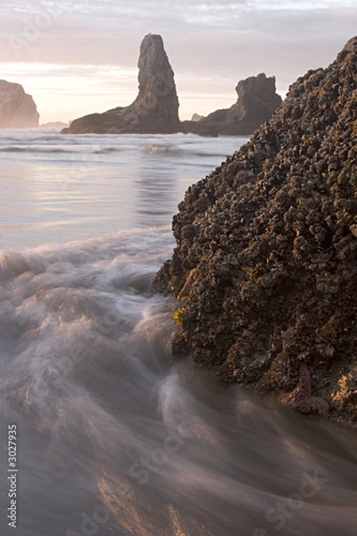 Obraz tide, rock and starfish
