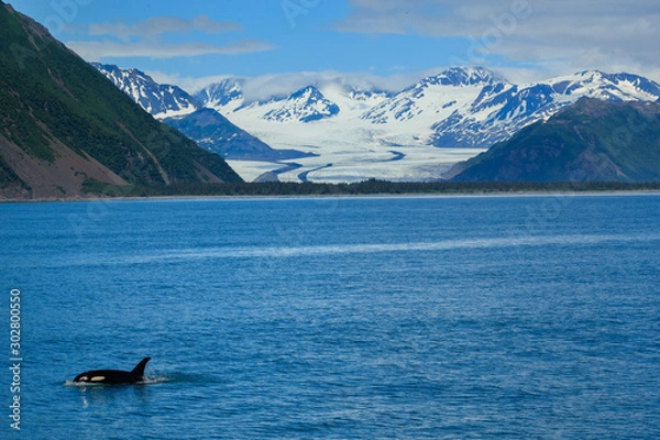 Obraz Glacier Beyond the Orca