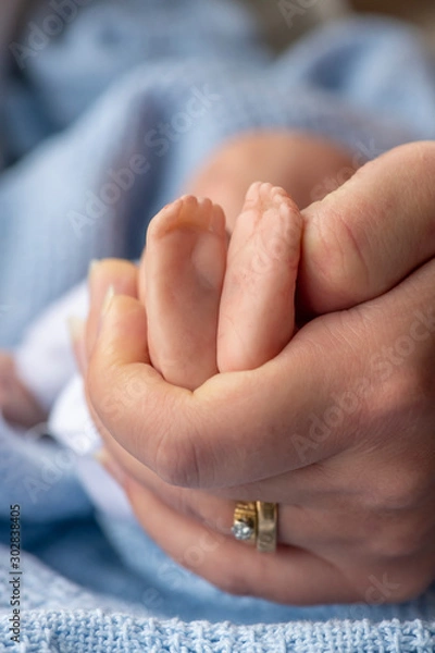 Obraz tiny newborn feet