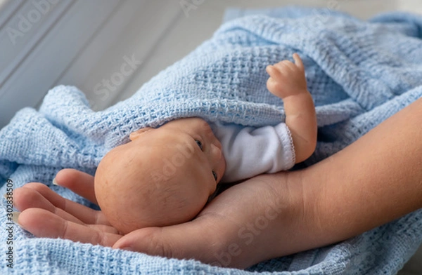 Obraz reborn baby doll