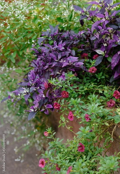 Fototapeta gardening