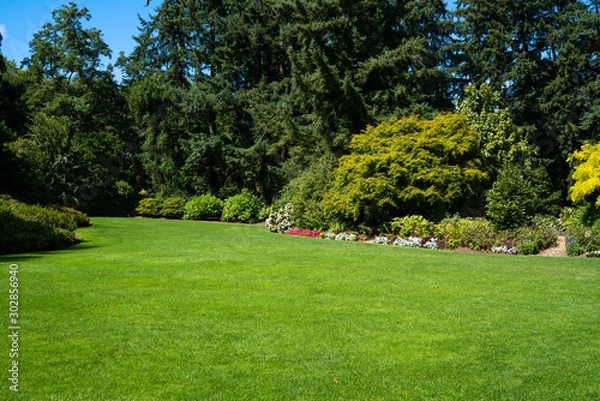 Fototapeta Beautiful trees and green grass in the garden. lawn in the garden.