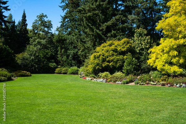 Fototapeta Beautiful trees and green grass in the garden. lawn in the garden.