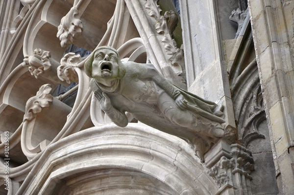 Fototapeta Gargoyle in Carcassonne