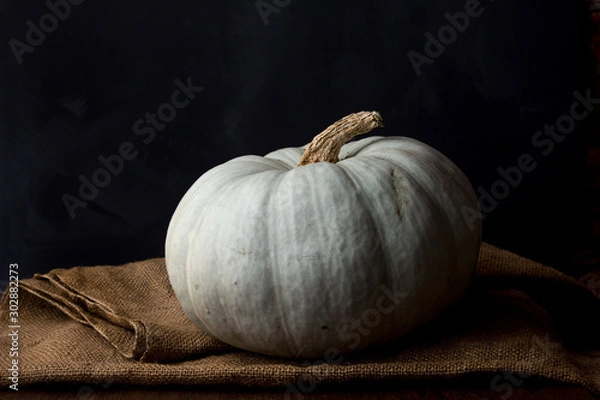 Obraz Still life of light pumpkin lies on a rough brown bag for vegetables on a black background view from the side closeup.
