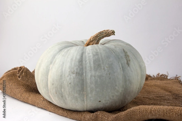 Fototapeta Still life of light pumpkin lies on a rough brown bag for vegetables on a white background view from the side closeup.