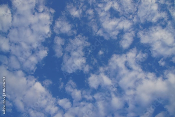 Obraz Blue sky and white clouds