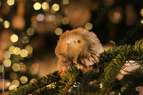 Obraz Christmas  hedgehog