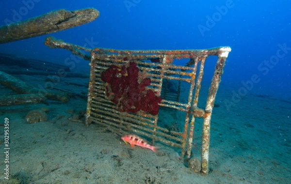 Obraz dechet caddie sous l'eau