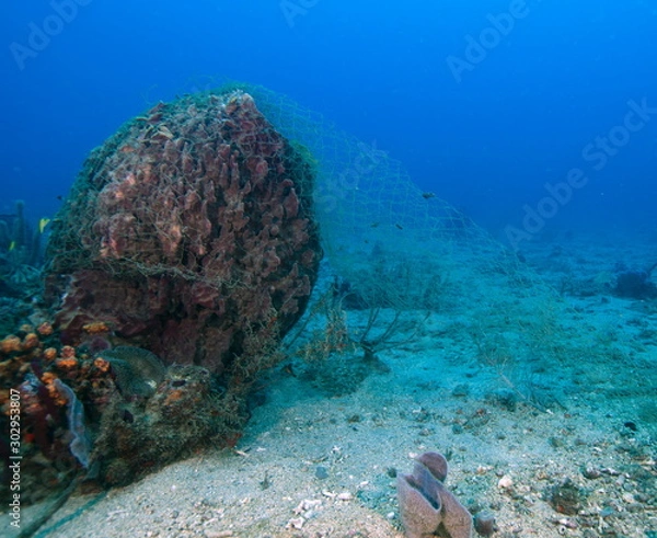 Obraz filet de pêche sur éponge marine