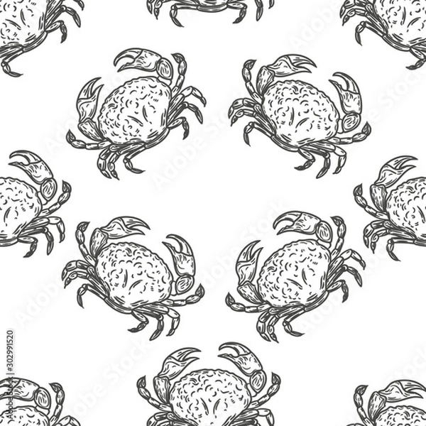 Obraz Vector hand drawn seamless pattern of crabs in the engraving style on white background.