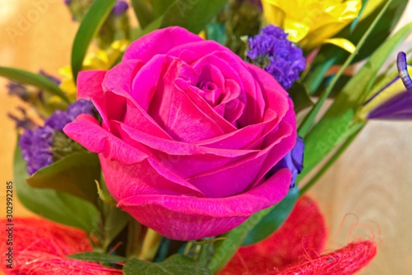 Fototapeta Red rose flower in a bouquet.