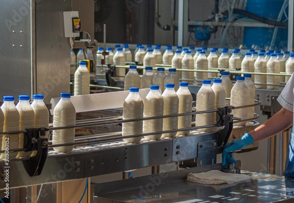Obraz the machine pours milk into bottles