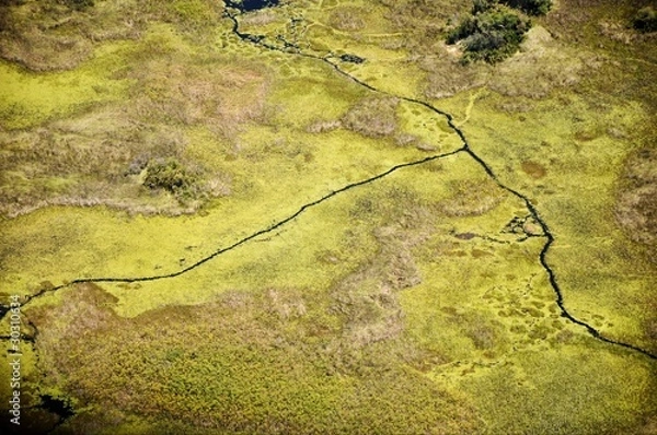 Obraz Okavango Delta