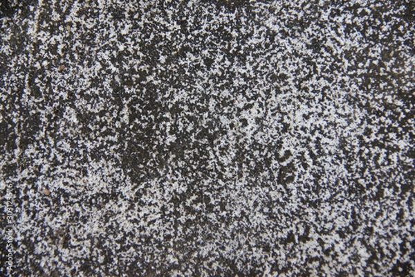 Obraz Old cement surface