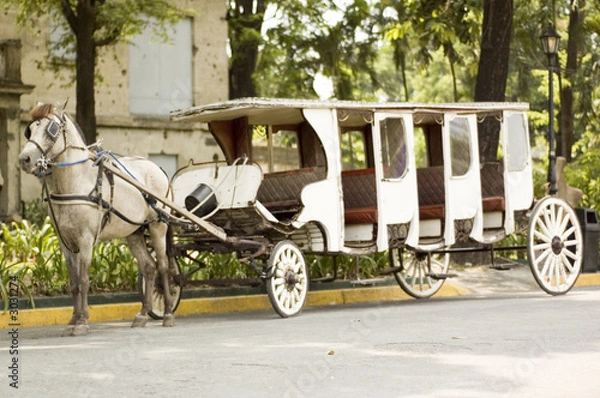 Obraz horse carriage