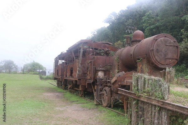 Fototapeta trem