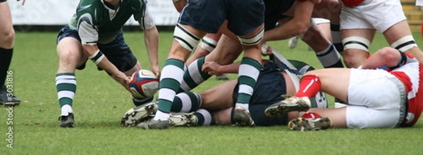 Obraz rugby