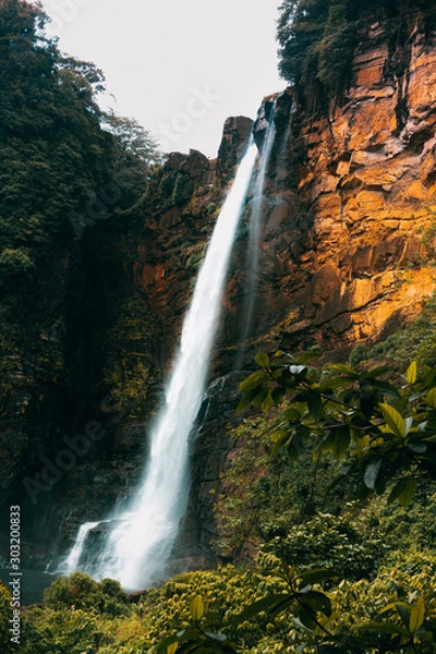 Fototapeta Waterfall in the forest - Scene of amazing Laxapana waterfall in Sri Lanka