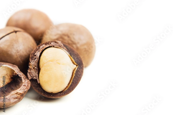 Fototapeta Raw not peeled whole macadamia nuts with shelled kernels