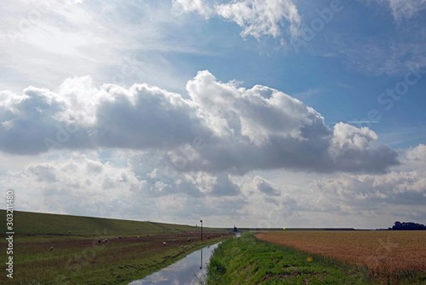 Obraz The Wadden Sea land road