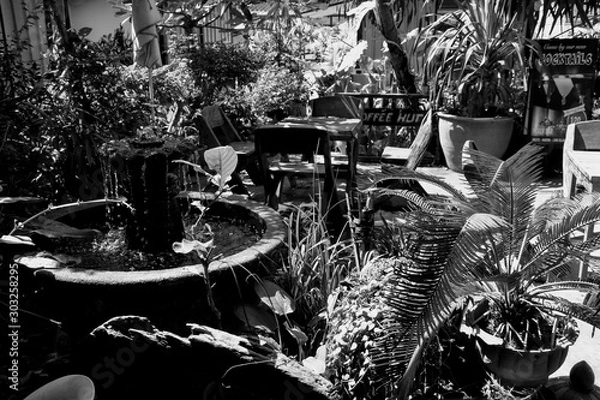 Obraz flowers on window