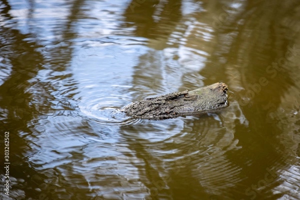 Fototapeta Water Surface