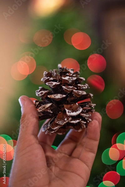 Obraz pine cone with christmas lights